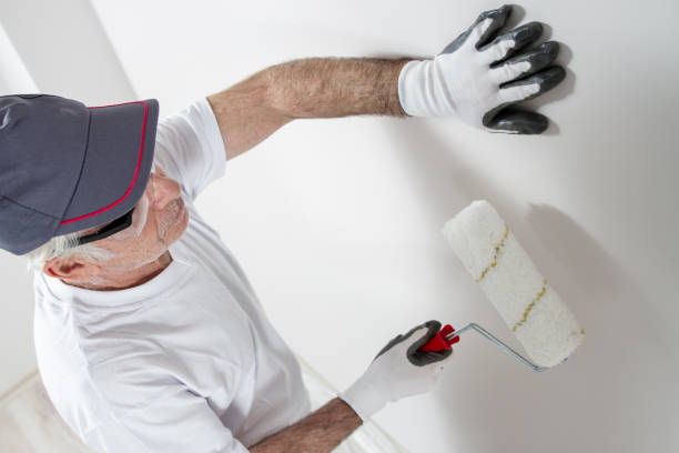 Best Emergency Mold Remediation  in Sophia, WV