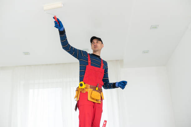 Best Environmental Consulting for Mold Prevention  in Sophia, WV