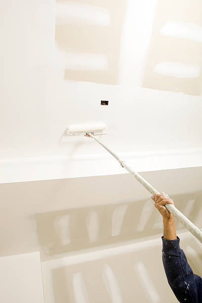 Best Mold Prevention Services  in Sophia, WV