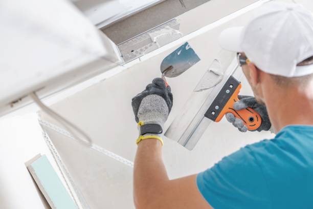 Professional Mold Removal in Sophia, WV